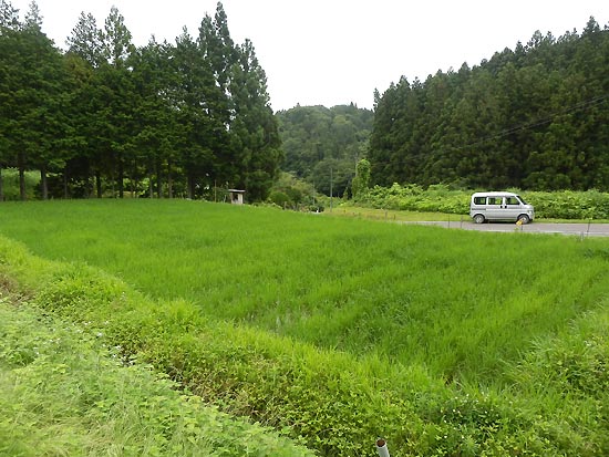 7月4日の田んぼ(月光原小・西根小)_d0247484_13554211.jpg