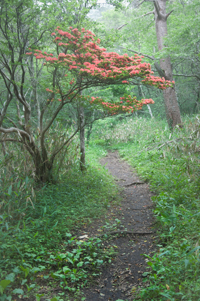 c0168986_15301125.jpg