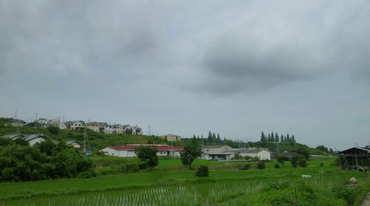 e0135492_15512019.jpg