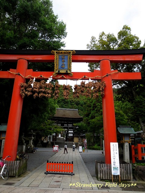 c0087094_11123883.jpg