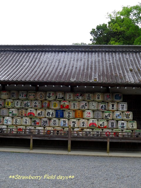 c0087094_1113874.jpg