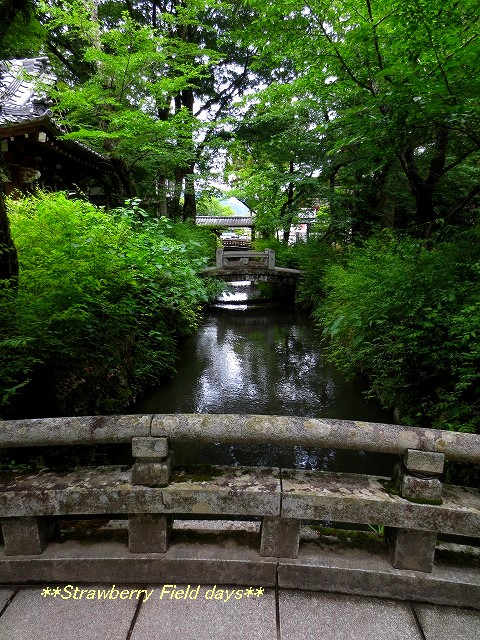 c0087094_11175978.jpg