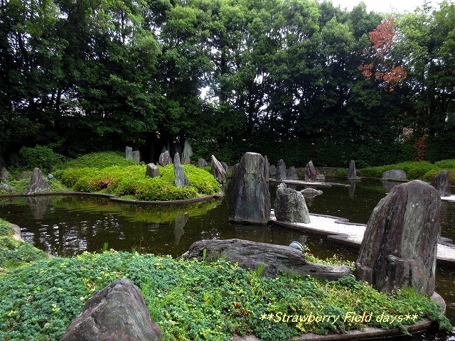 c0087094_1129144.jpg