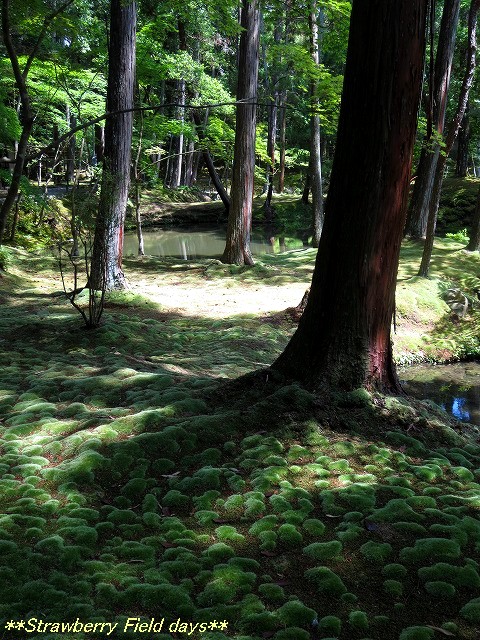 c0087094_12102478.jpg