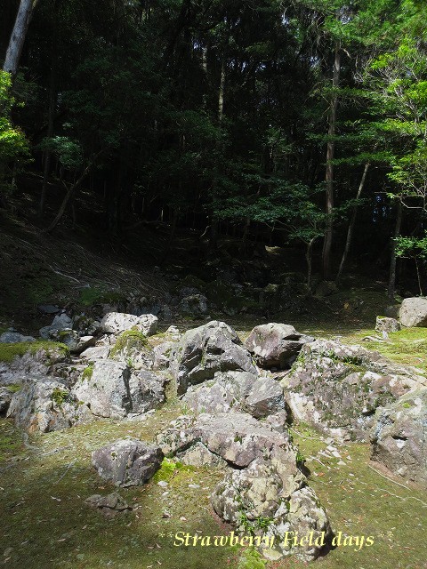c0087094_1221574.jpg