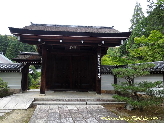 c0087094_12232247.jpg