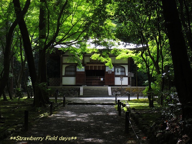 c0087094_16542348.jpg