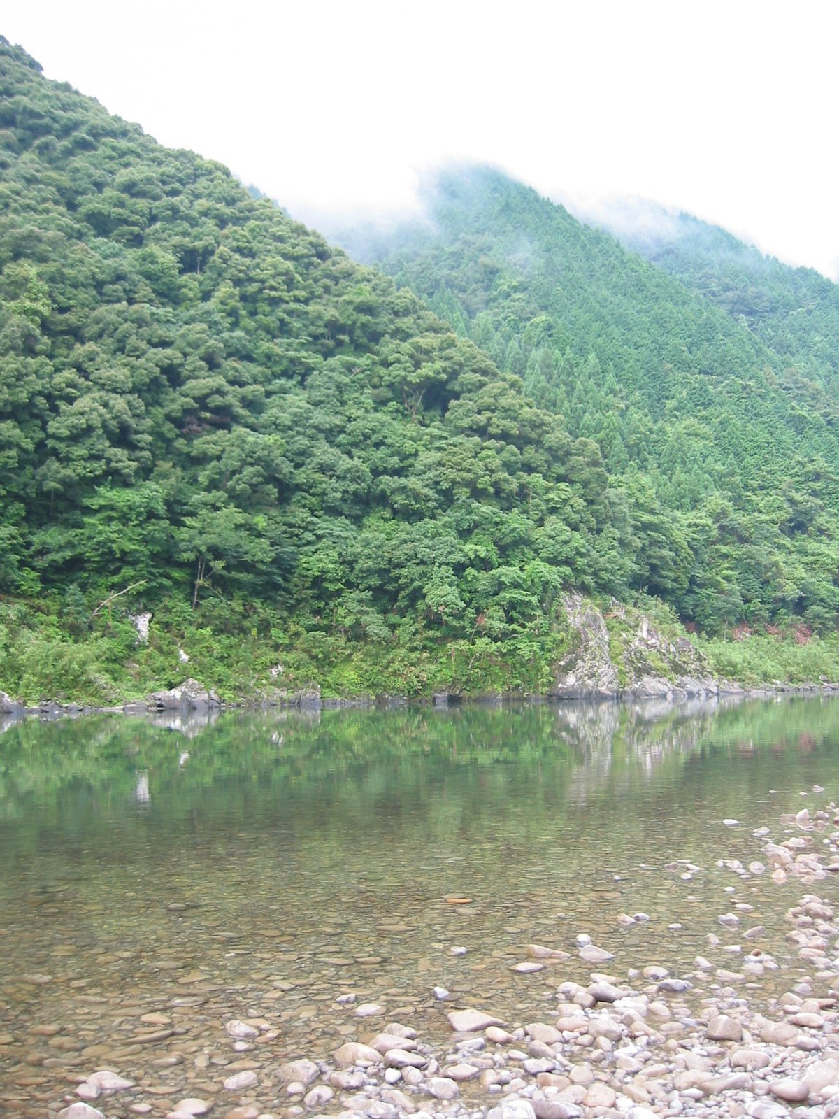 四万十川ツアー_b0225495_17395228.jpg