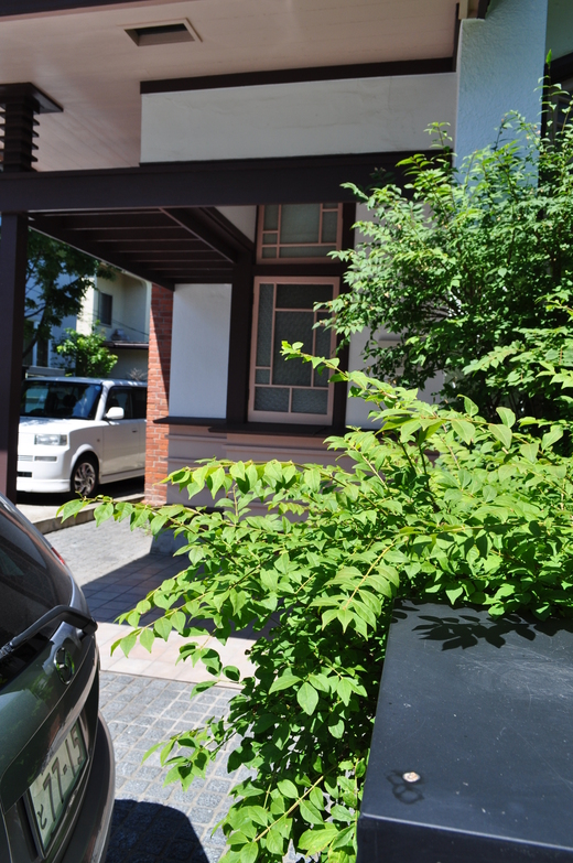函館元町の日和茶房、旧プレーリーハウス(昭和モダン邸宅再訪)_f0142606_7403580.jpg