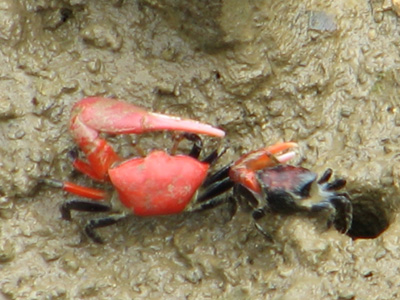 b0080027_10532864.jpg