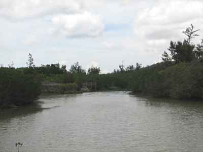 b0080027_1053798.jpg
