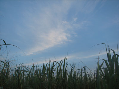 b0080027_10544142.jpg