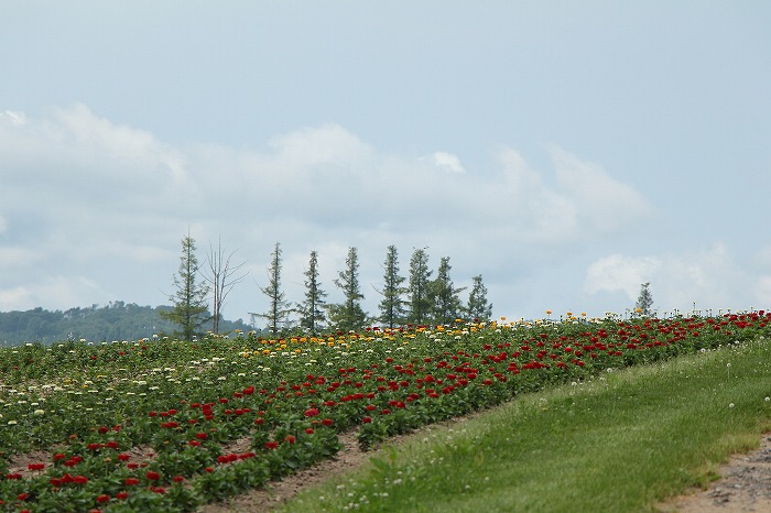 北海道へ・・・_f0327034_18262477.jpg