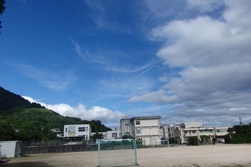 a0054240_062823.jpg