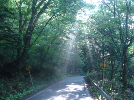 f0219043_12545732.jpg