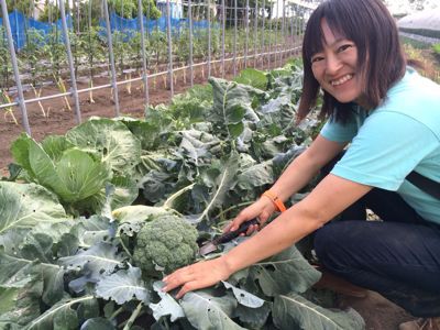 畑で手回しオルガン_d0179447_2035660.jpg