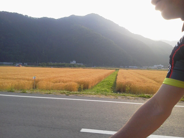 c0214359_01771.jpg