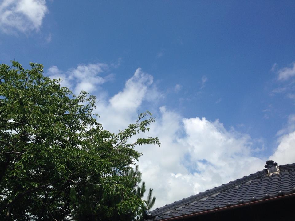 c0115560_1042669.jpg