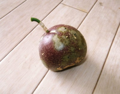 c0180460_05185.jpg