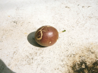 c0180460_07510.jpg