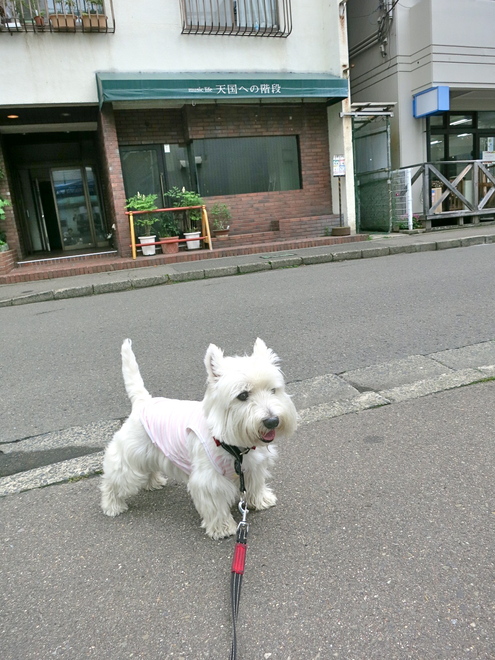 どんどんどんどん_c0260460_12484761.jpg