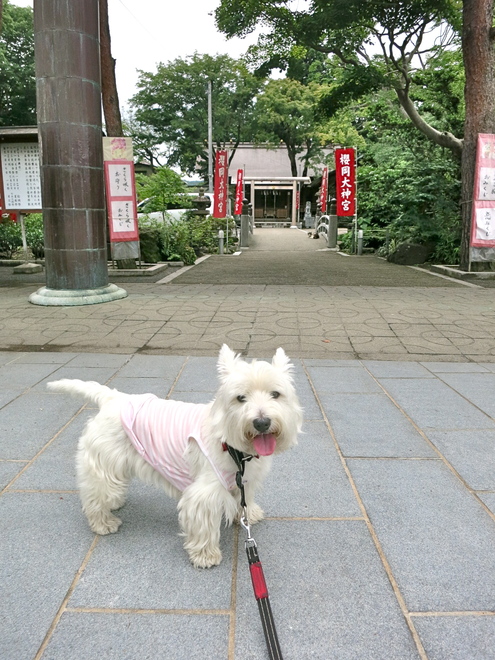 どんどんどんどん_c0260460_12494729.jpg