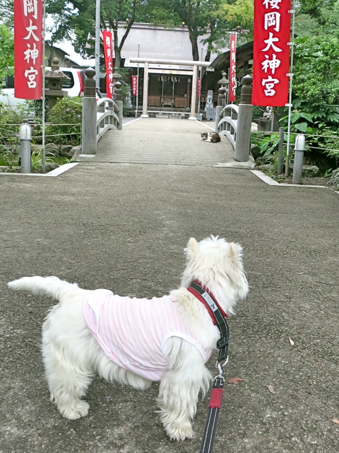 どんどんどんどん_c0260460_12502245.jpg