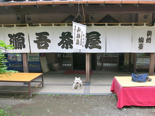 どんどんどんどん_c0260460_12514239.jpg