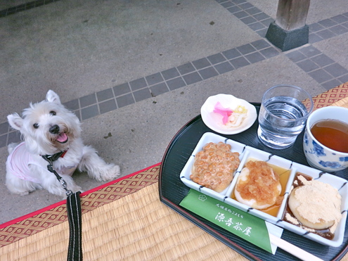 どんどんどんどん_c0260460_12514346.jpg