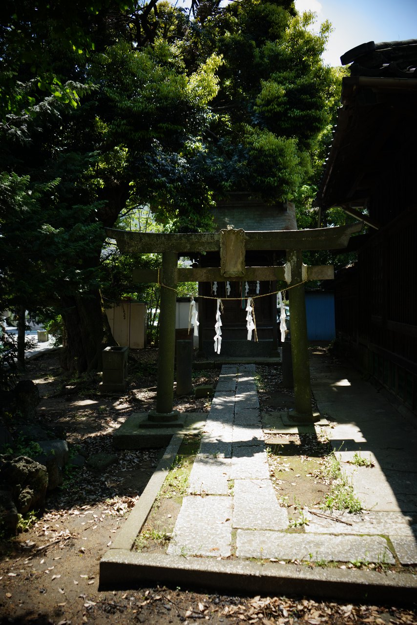 e0225465_844288.jpg