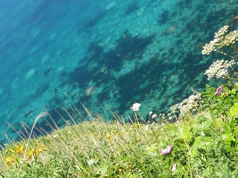 f0350468_11021526.jpg