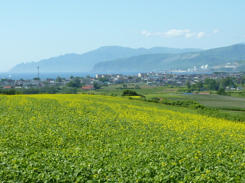 f0350468_11120656.jpg