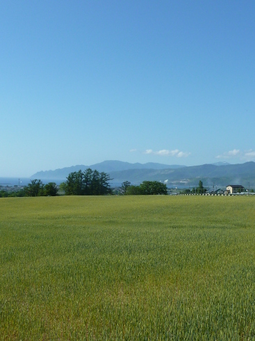 f0350468_11122930.jpg