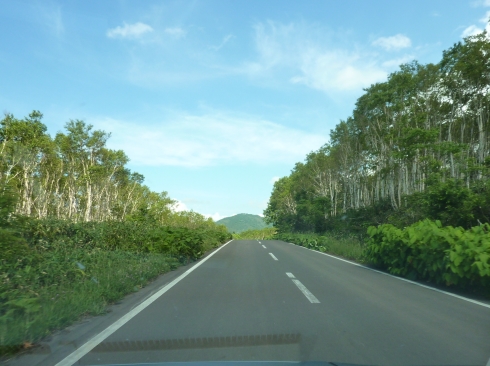 f0350468_11132043.jpg