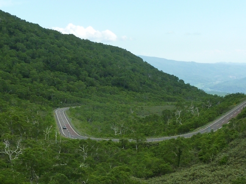 f0350468_11152348.jpg