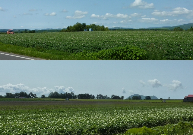 f0350468_13551104.jpg