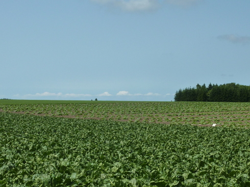 f0350468_14132797.jpg