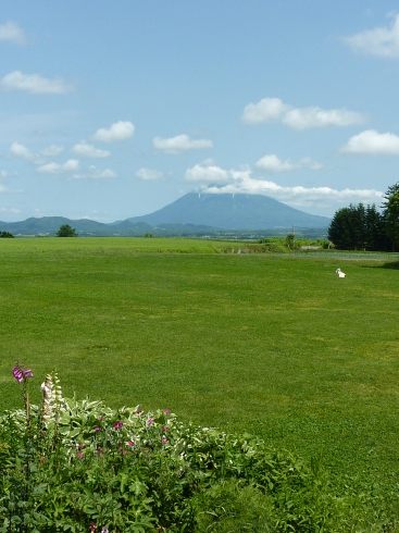 f0350468_14161613.jpg