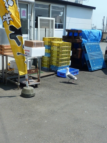f0350468_14314507.jpg