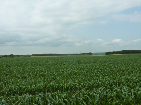 f0350468_14345497.jpg