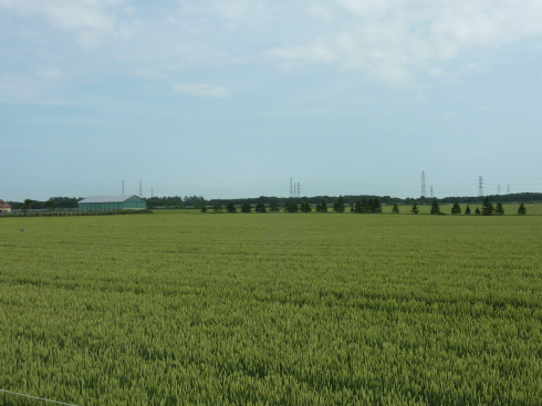 f0350468_14351625.jpg