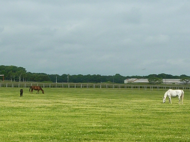 f0350468_15070882.jpg
