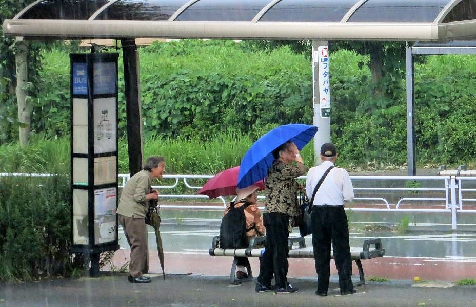 梅雨寒の・・・_c0223272_17424343.jpg