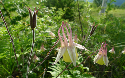 f0182173_1030414.jpg