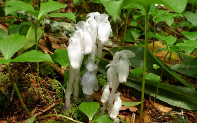 f0182173_10305129.jpg