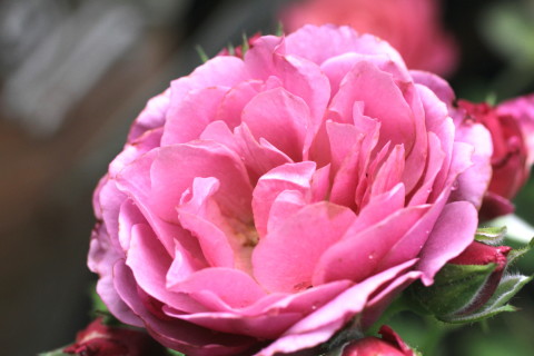 e0154682_21511258.jpg