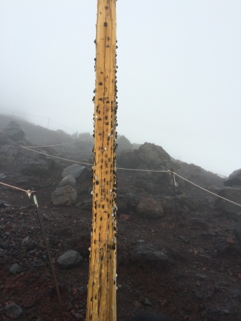 （今年初）富士登山行ってきました_f0353182_19584142.jpg