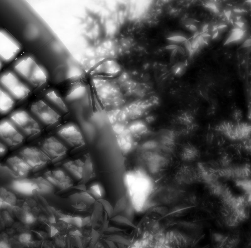 c0229384_16264271.jpg