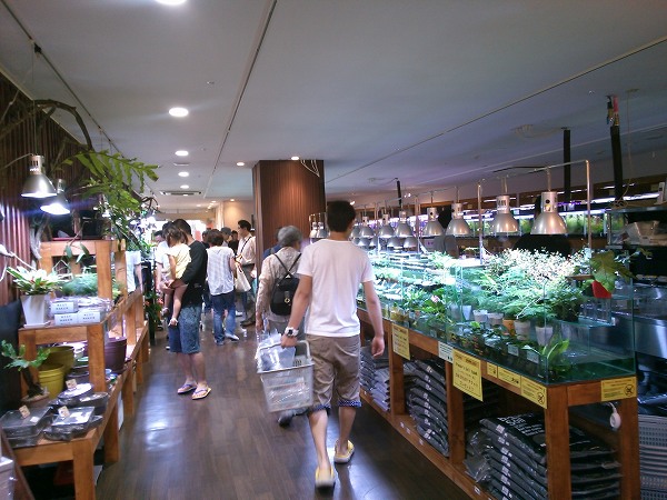 c0177490_2274728.jpg