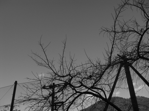 e0216090_00273920.jpg